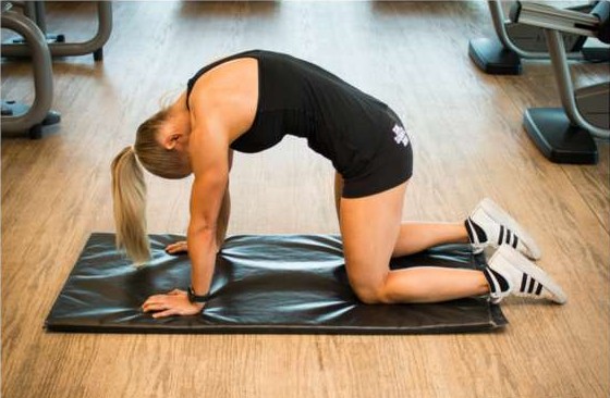 Cat stretch on all fours rounding the spine