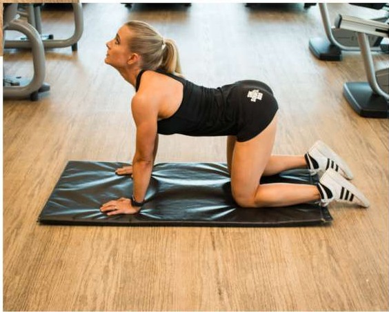 Cow stretch on all fours arching the spine