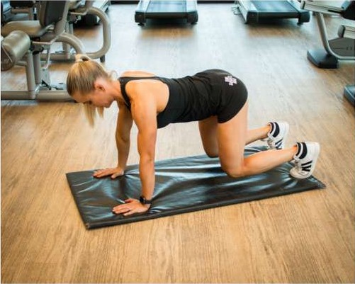 Four-point kneeling plank hold with knees just off the floor